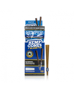 2pk King Size Cones with Glass Tips - Hemp Paper - Blueberry